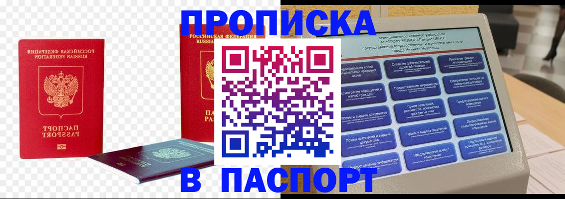 прописка в Курске
